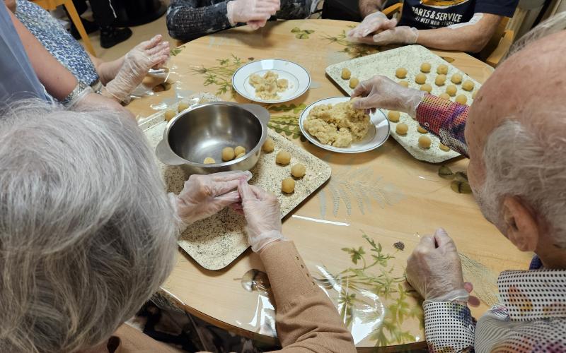 FENT PANELLETS